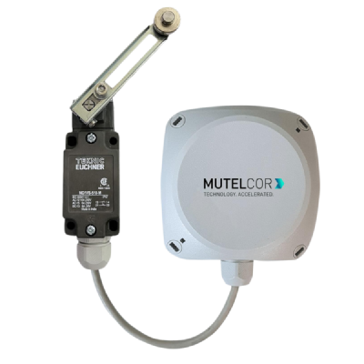 LoRa Manhole Sensor