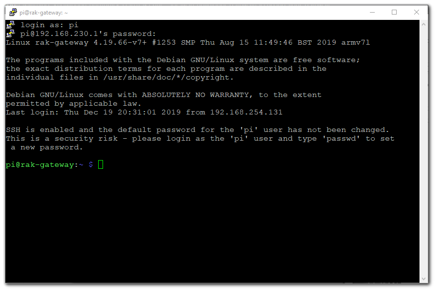 Figure 6: Command line after log in