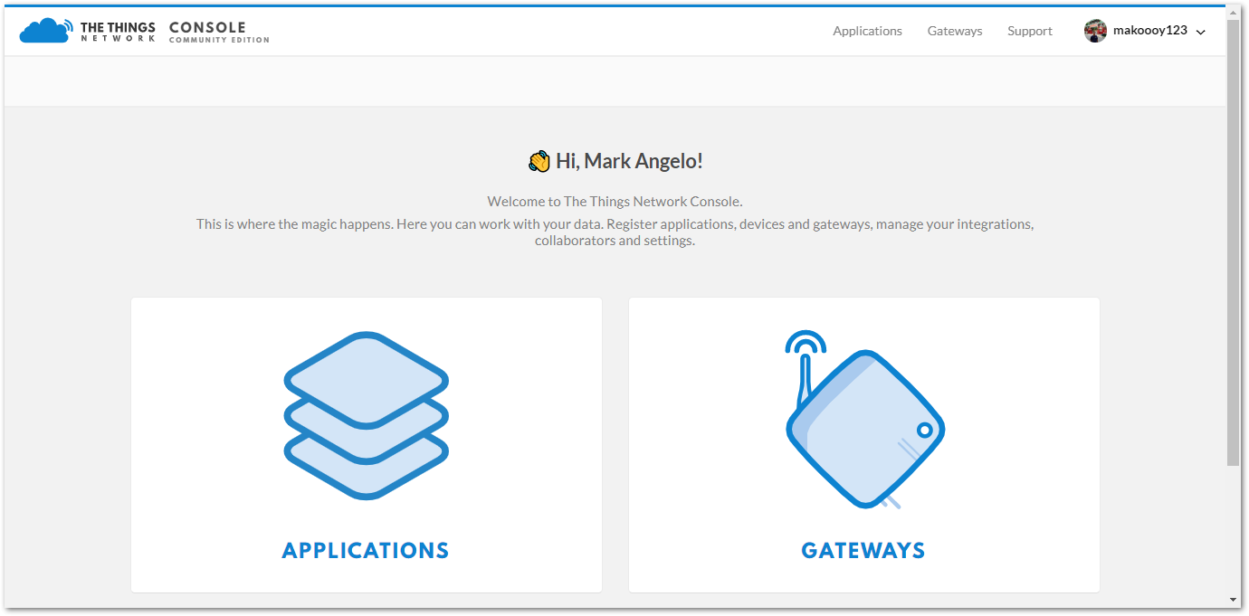 Figure 2: The Things Network Console Page