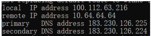 Figure 17: Primary and Secondary DNS Address