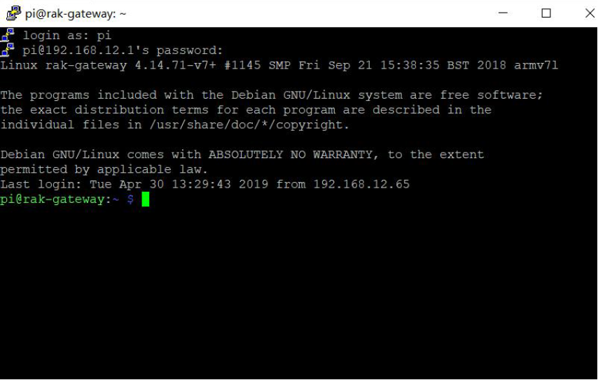 Figure 3: Command line after log in