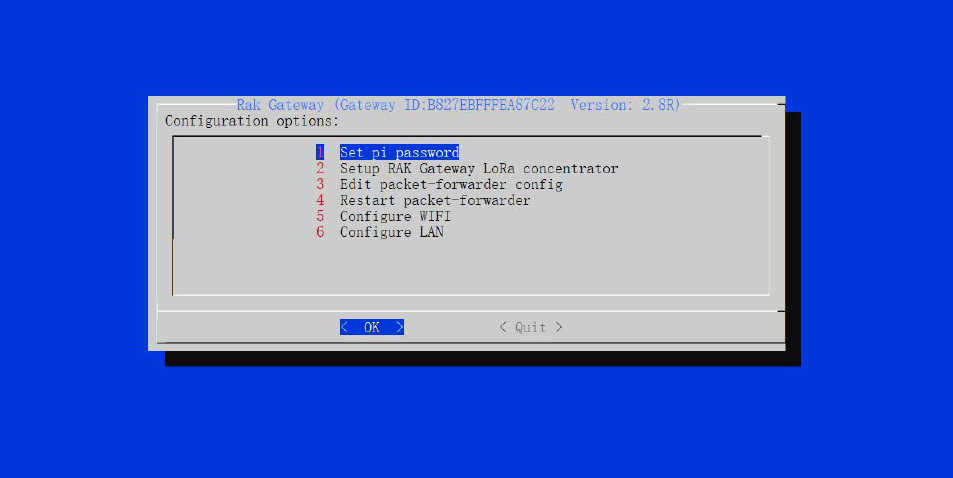 Figure 1: Configuration Options for the Gateway