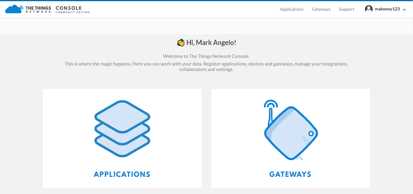 Figure 2: The Things Network Console Page