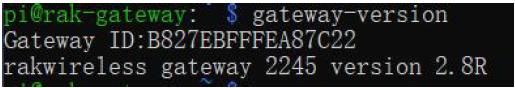 Figure 3: Gateway ID using the command line