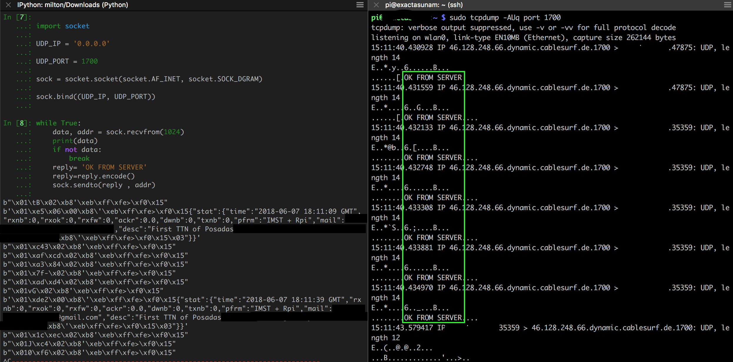 Python raw socket ip header