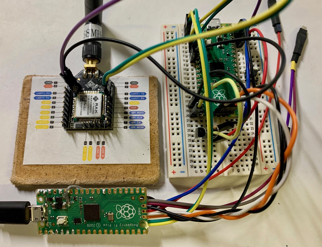 Pico_DS18B20_LoRaWAN