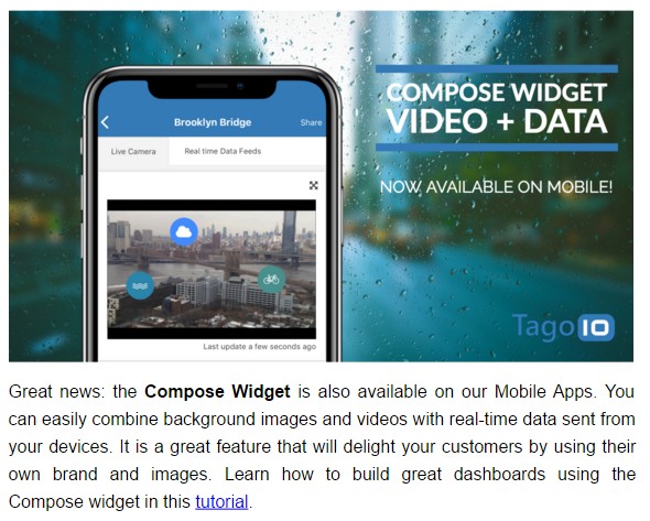 videowidget