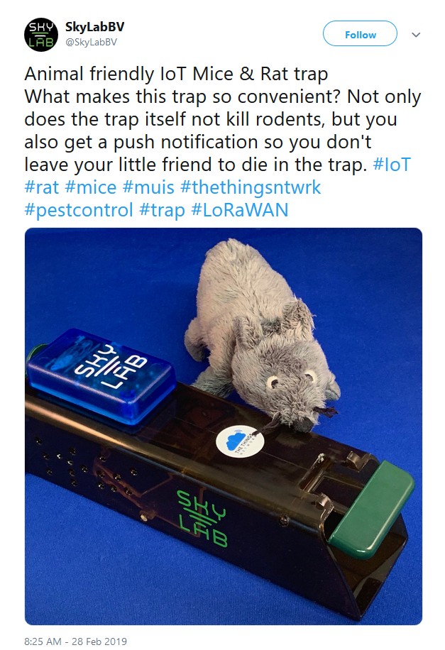 friendlymousetrap