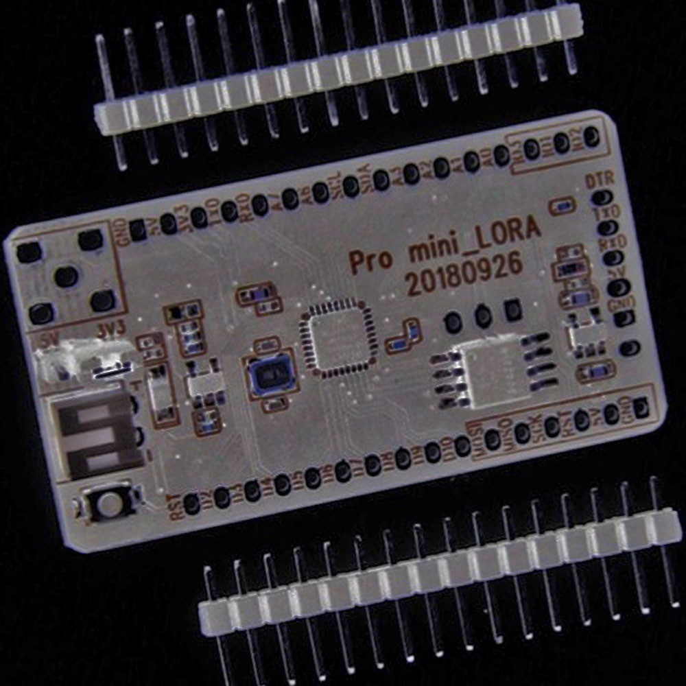 pro-mini%20lora