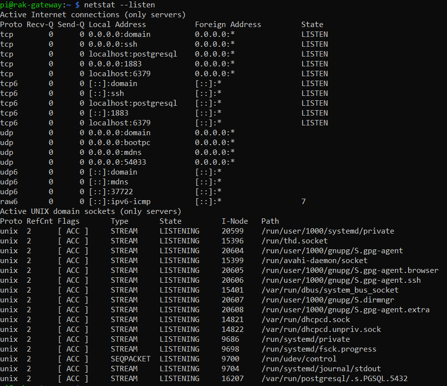 netstat