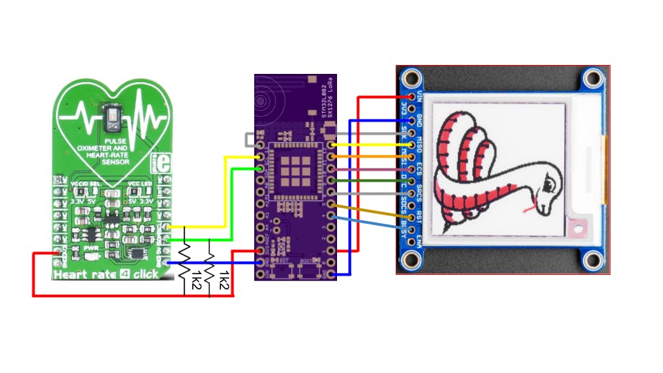 grasshopper_iQ7r2fIOiK