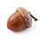 acorn