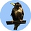 dr_eamy
